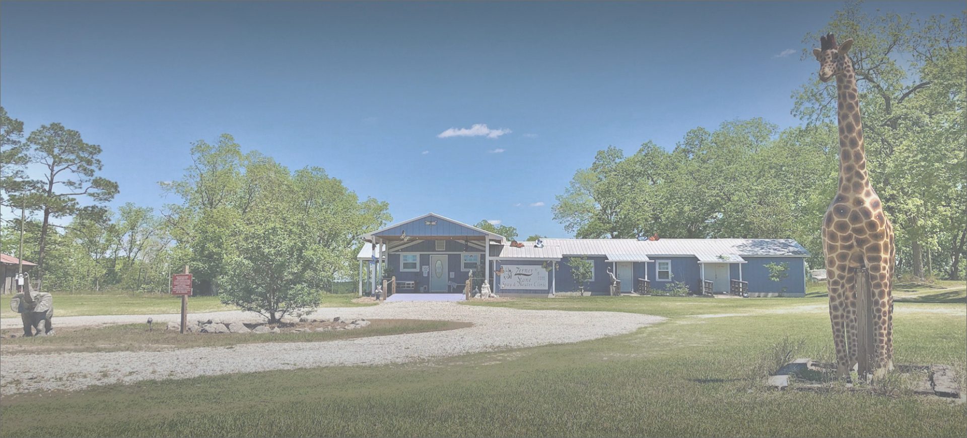 The Rescue Ranch Home Page